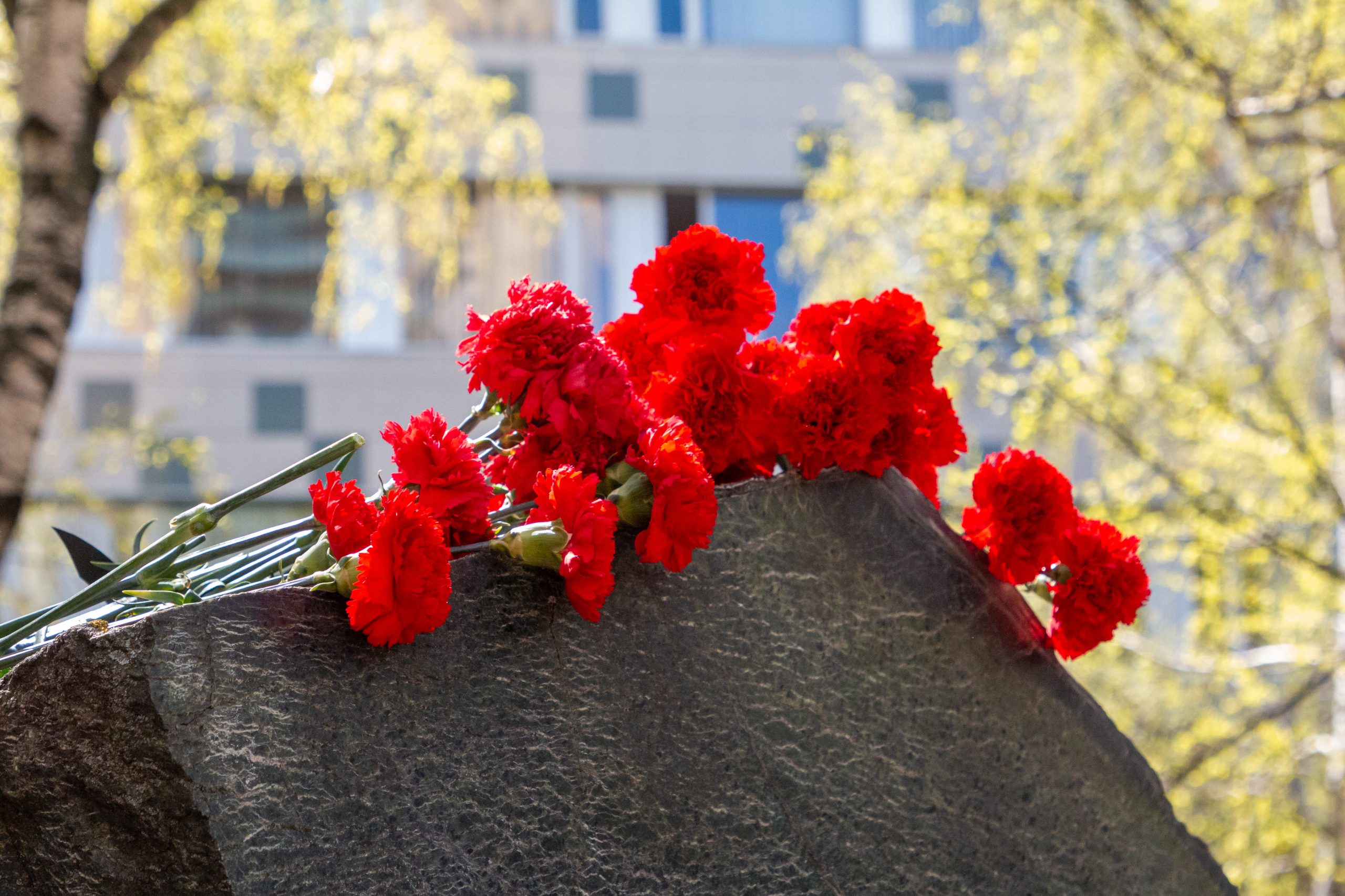 Час памяти о великой отечественной войне. Память героям Москвы. Урок памяти героев ВОВ 21 апреля. День памяти героев крут.